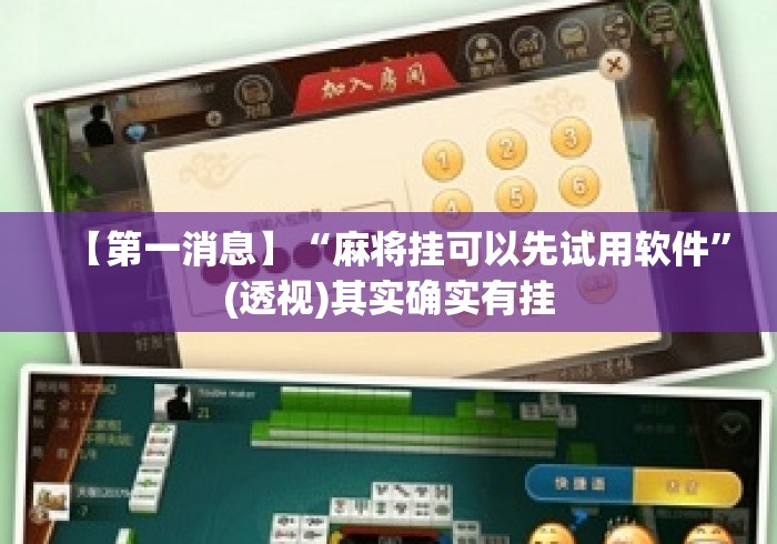 【第一消息】“麻将挂可以先试用软件”(透视)其实确实有挂