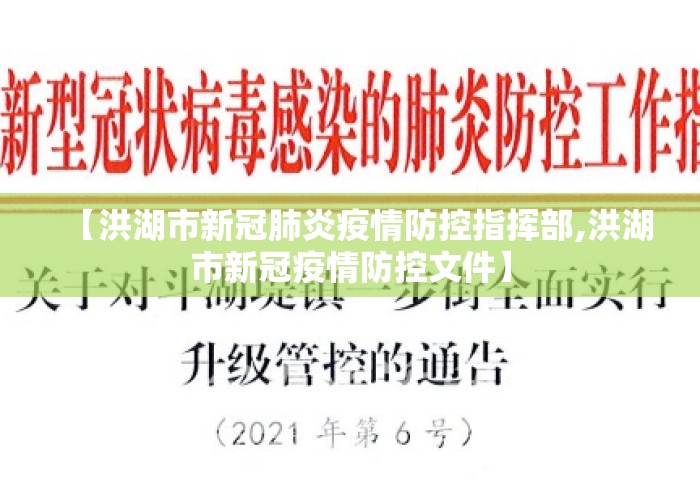 【洪湖市新冠肺炎疫情防控指挥部,洪湖市新冠疫情防控文件】