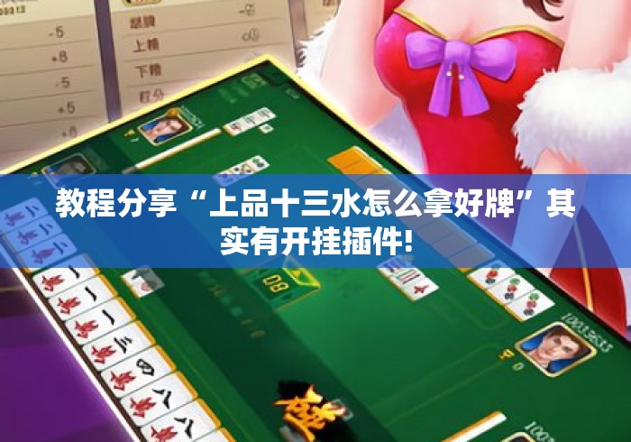 教程分享“上品十三水怎么拿好牌”其实有开挂插件!