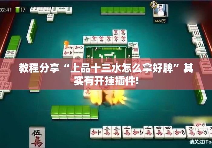 教程分享“上品十三水怎么拿好牌”其实有开挂插件!