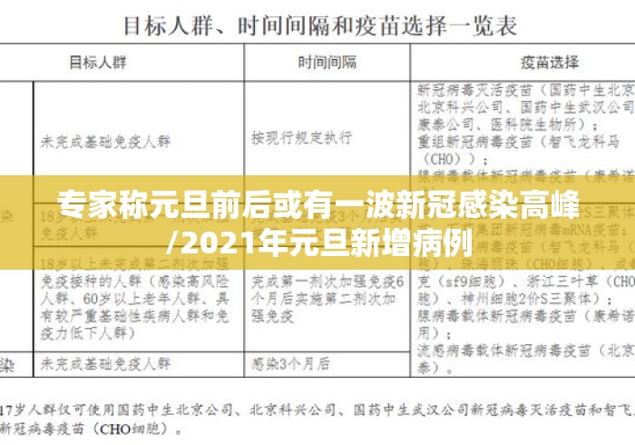 专家称元旦前后或有一波新冠感染高峰/2021年元旦新增病例