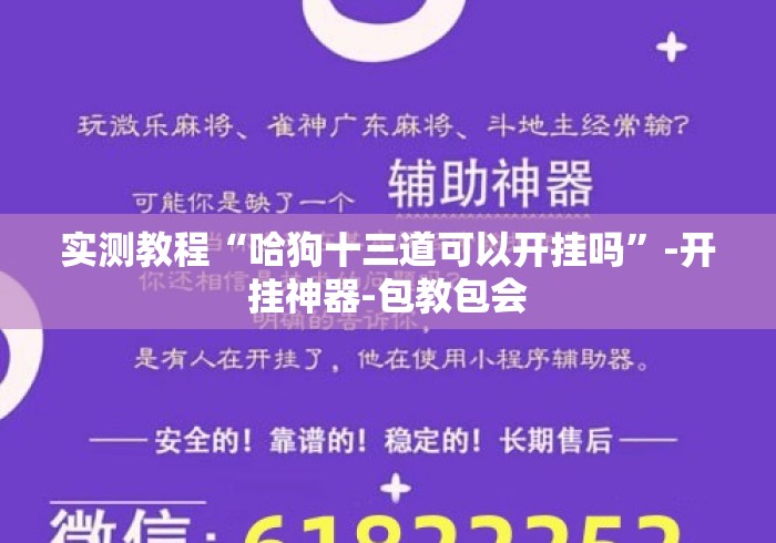 实测教程“哈狗十三道可以开挂吗”-开挂神器-包教包会