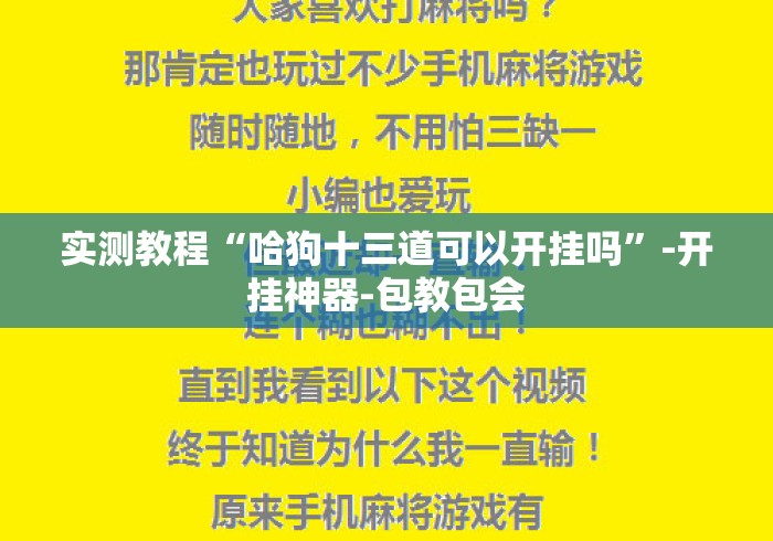 实测教程“哈狗十三道可以开挂吗”-开挂神器-包教包会