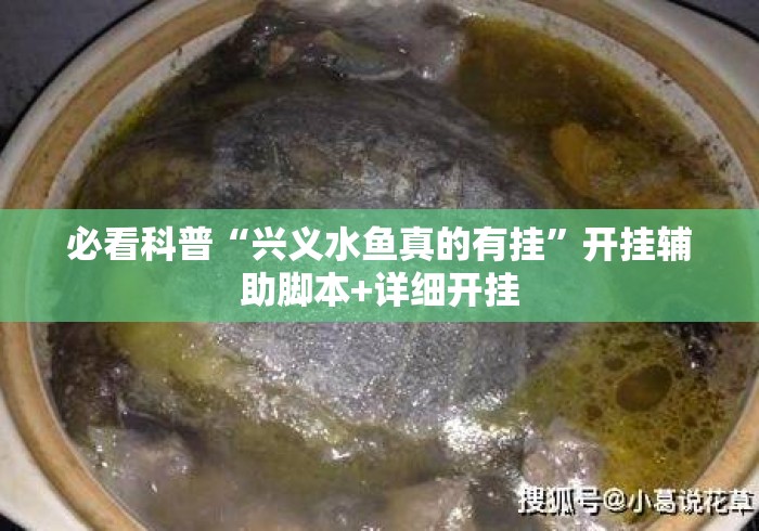 必看科普“兴义水鱼真的有挂	”开挂辅助脚本+详细开挂