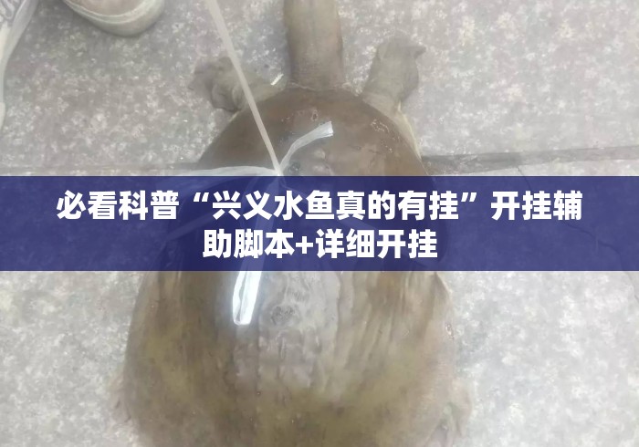 必看科普“兴义水鱼真的有挂”开挂辅助脚本+详细开挂