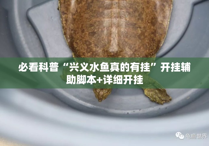 必看科普“兴义水鱼真的有挂	”开挂辅助脚本+详细开挂