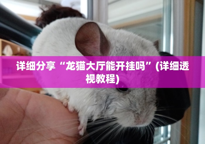 详细分享“龙猫大厅能开挂吗”(详细透视教程)