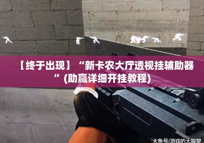 【终于出现】“新卡农大厅透视挂辅助器”(助赢详细开挂教程)