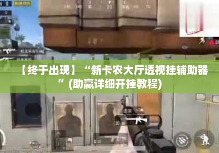 【终于出现】“新卡农大厅透视挂辅助器	”(助赢详细开挂教程)