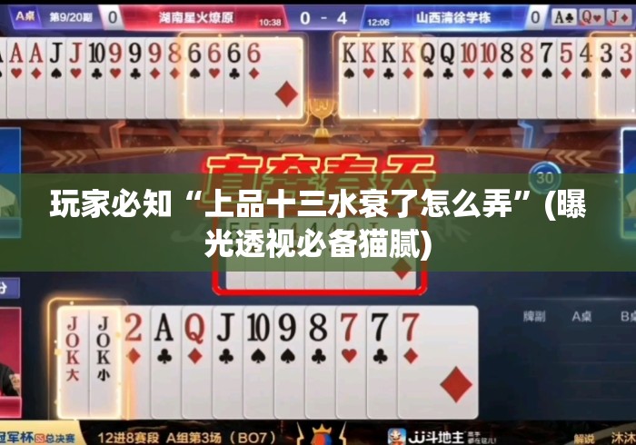 玩家必知“上品十三水衰了怎么弄”(曝光透视必备猫腻)