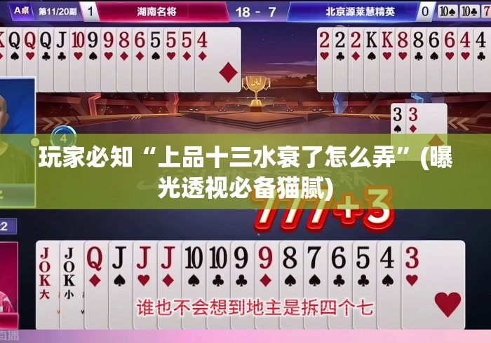 玩家必知“上品十三水衰了怎么弄	”(曝光透视必备猫腻)