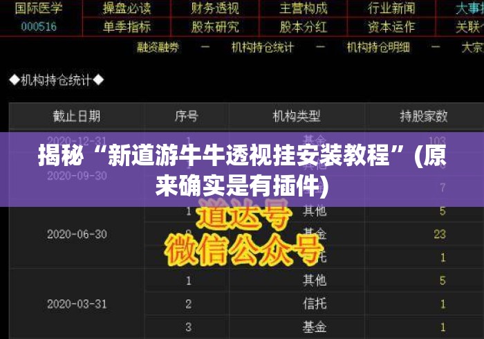 揭秘“新道游牛牛透视挂安装教程”(原来确实是有插件)