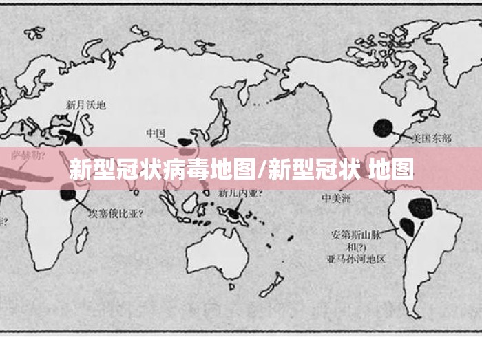 新型冠状病毒地图/新型冠状 地图