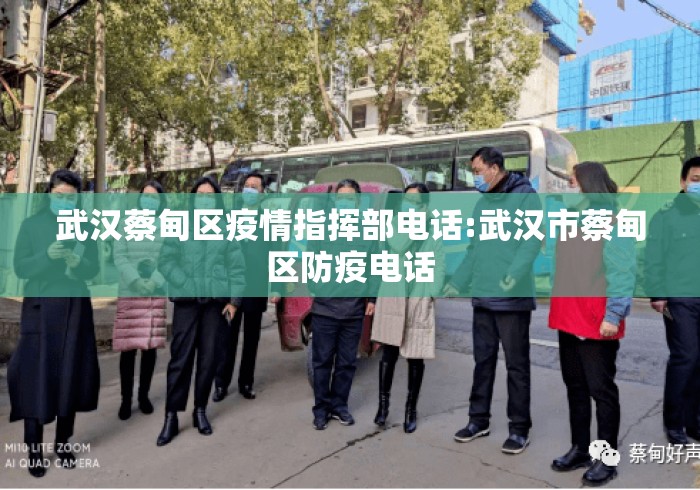 武汉蔡甸区疫情指挥部电话:武汉市蔡甸区防疫电话