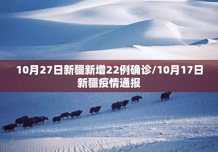 10月27日新疆新增22例确诊/10月17日新疆疫情通报 10月27日新疆新增22例确诊/10月17日新疆疫情通报