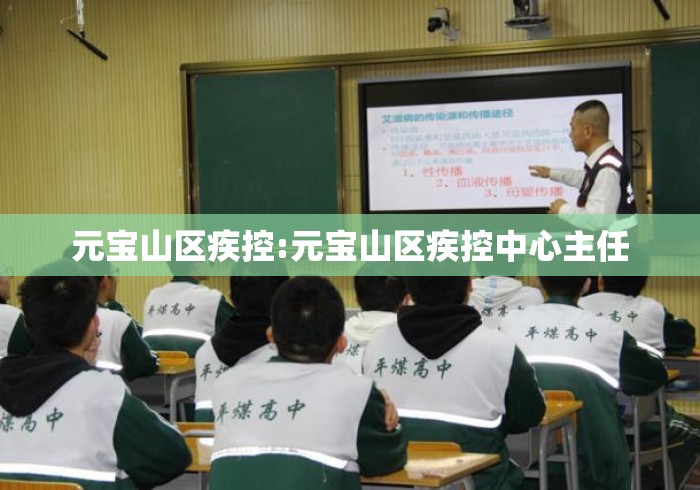 元宝山区疾控:元宝山区疾控中心主任