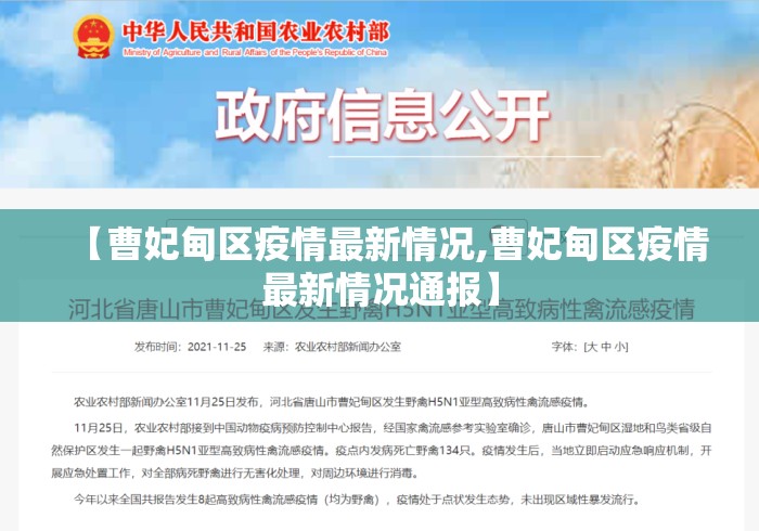 【曹妃甸区疫情最新情况,曹妃甸区疫情最新情况通报】