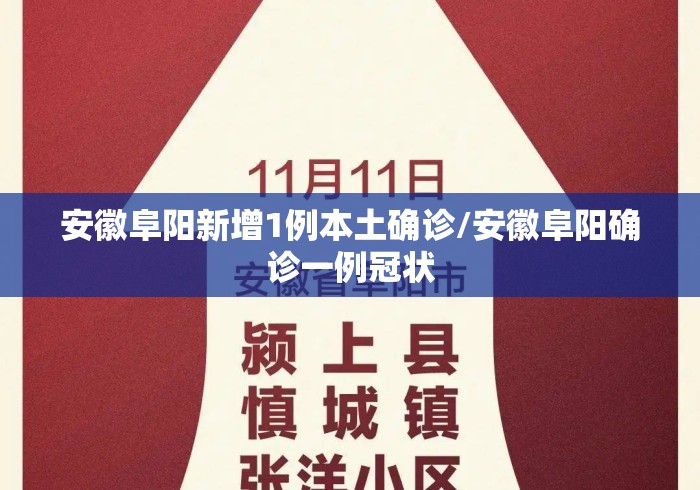 安徽阜阳新增1例本土确诊/安徽阜阳确诊一例冠状