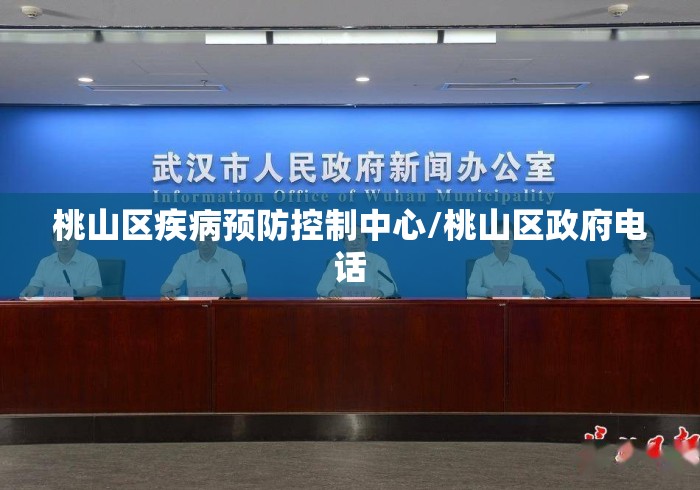 桃山区疾病预防控制中心/桃山区政府电话