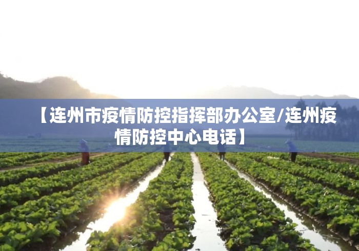 【连州市疫情防控指挥部办公室/连州疫情防控中心电话】 【连州市疫情防控指挥部办公室/连州疫情防控中心电话】