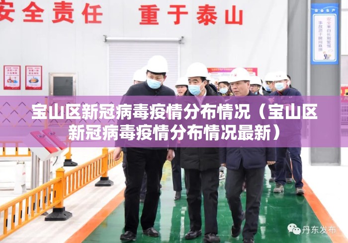 宝山区新冠病毒疫情分布情况（宝山区新冠病毒疫情分布情况最新）