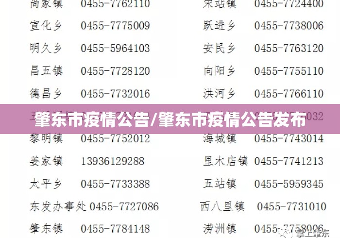 肇东市疫情公告/肇东市疫情公告发布