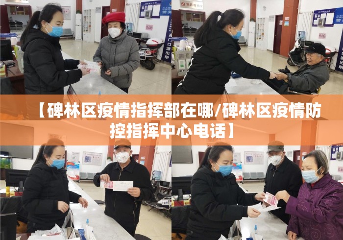 【碑林区疫情指挥部在哪/碑林区疫情防控指挥中心电话】