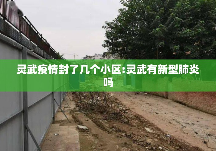 灵武疫情封了几个小区:灵武有新型肺炎吗