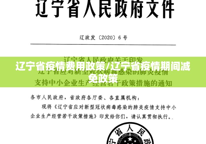 辽宁省疫情费用政策/辽宁省疫情期间减免政策 辽宁省疫情费用政策/辽宁省疫情期间减免政策