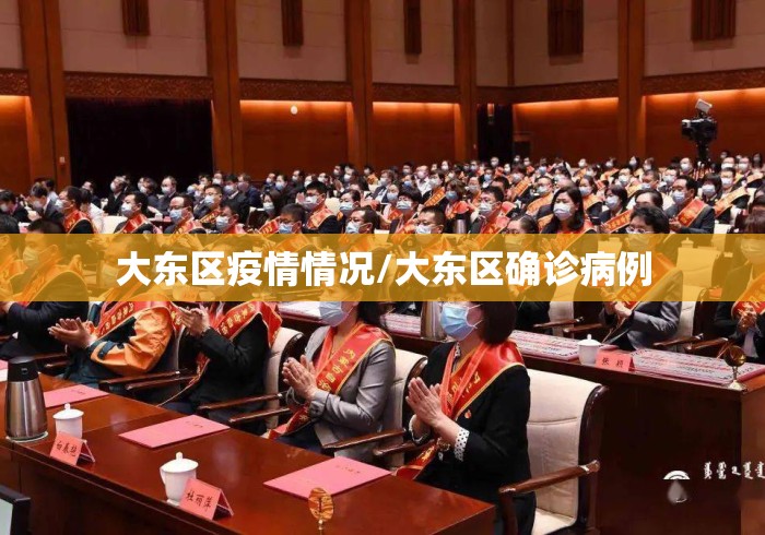 大东区疫情情况/大东区确诊病例 大东区疫情情况/大东区确诊病例