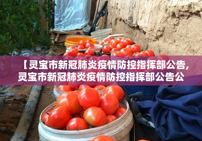 【灵宝市新冠肺炎疫情防控指挥部公告,灵宝市新冠肺炎疫情防控指挥部公告公示】 【灵宝市新冠肺炎疫情防控指挥部公告,灵宝市新冠肺炎疫情防控指挥部公告公示】