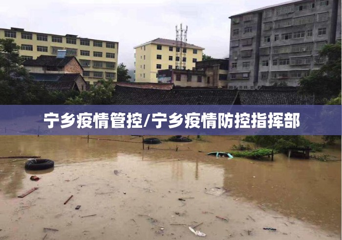 宁乡疫情管控/宁乡疫情防控指挥部