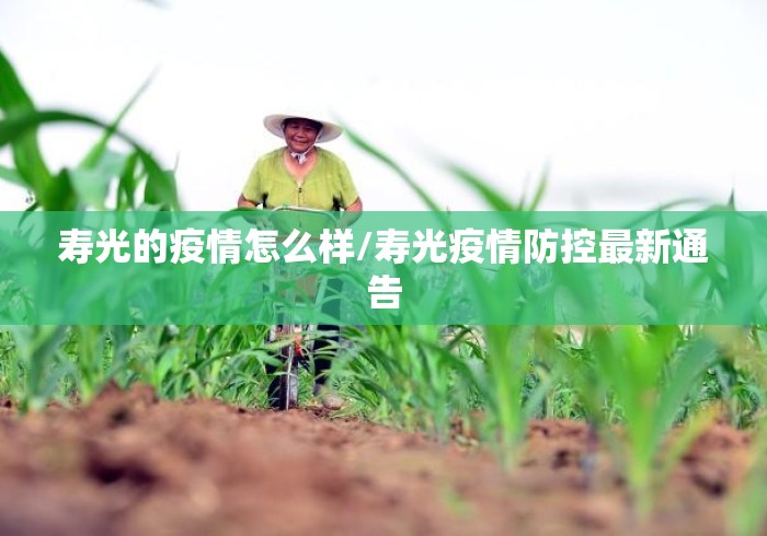 寿光的疫情怎么样/寿光疫情防控最新通告 寿光的疫情怎么样/寿光疫情防控最新通告