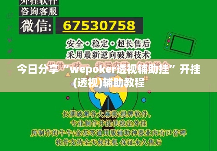 今日分享“wepoker透视辅助挂	”开挂(透视)辅助教程
