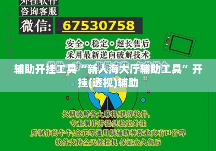辅助开挂工具“新人海大厅辅助工具”开挂(透视)辅助