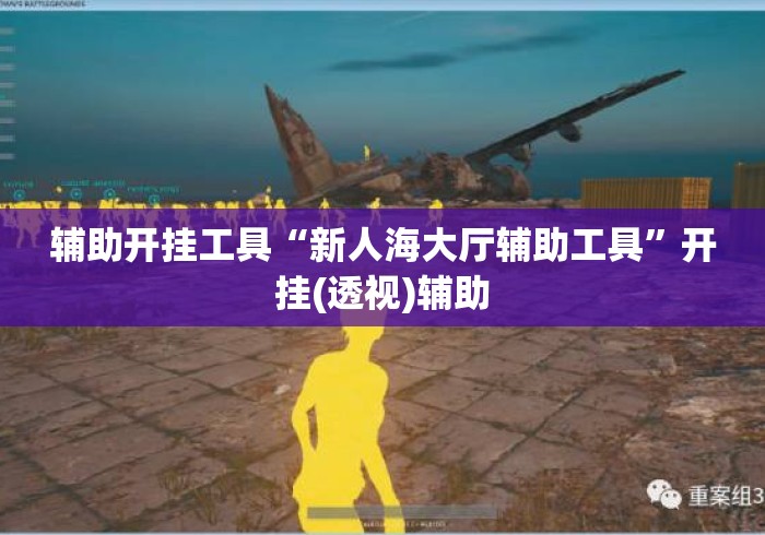 辅助开挂工具“新人海大厅辅助工具”开挂(透视)辅助