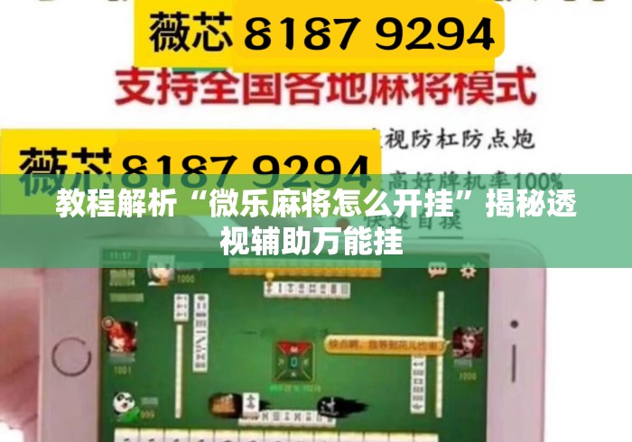 教程解析“微乐麻将怎么开挂”揭秘透视辅助万能挂 