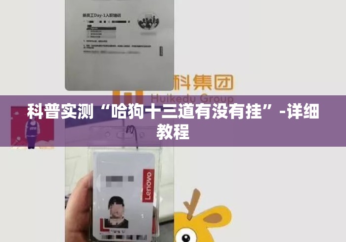 科普实测“哈狗十三道有没有挂”-详细教程