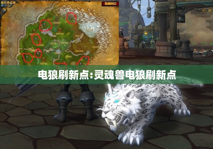电狼刷新点:灵魂兽电狼刷新点 电狼刷新点:灵魂兽电狼刷新点