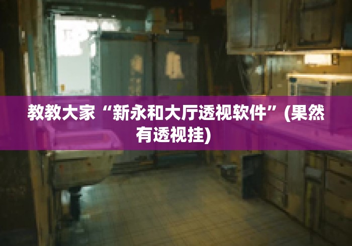 教教大家“新永和大厅透视软件”(果然有透视挂) 