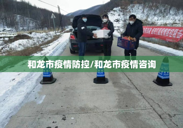 和龙市疫情防控/和龙市疫情咨询 和龙市疫情防控/和龙市疫情咨询