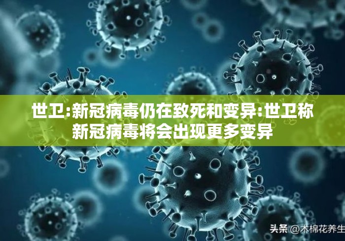 世卫:新冠病毒仍在致死和变异:世卫称新冠病毒将会出现更多变异 世卫:新冠病毒仍在致死和变异:世卫称新冠病毒将会出现更多变异