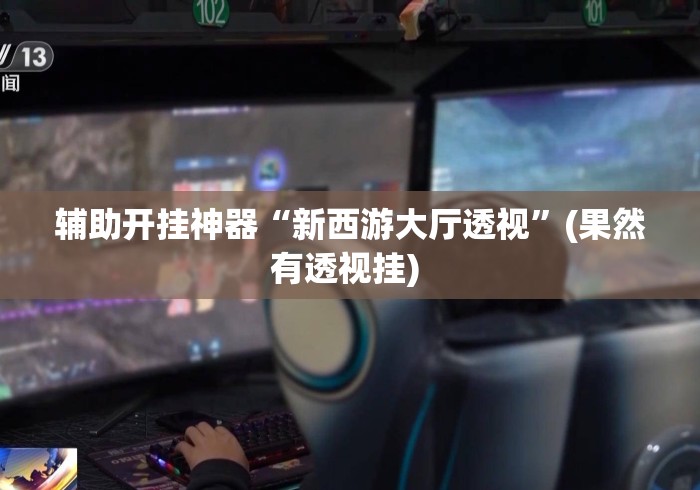 辅助开挂神器“新西游大厅透视	”(果然有透视挂) 
