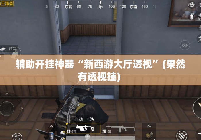 辅助开挂神器“新西游大厅透视”(果然有透视挂) 