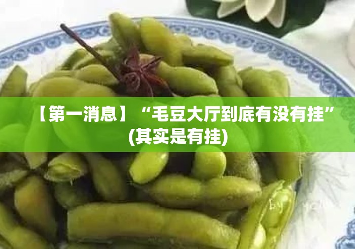 【第一消息】“毛豆大厅到底有没有挂”(其实是有挂)