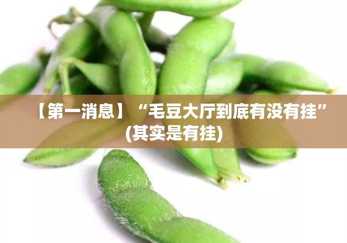 【第一消息】“毛豆大厅到底有没有挂”(其实是有挂)