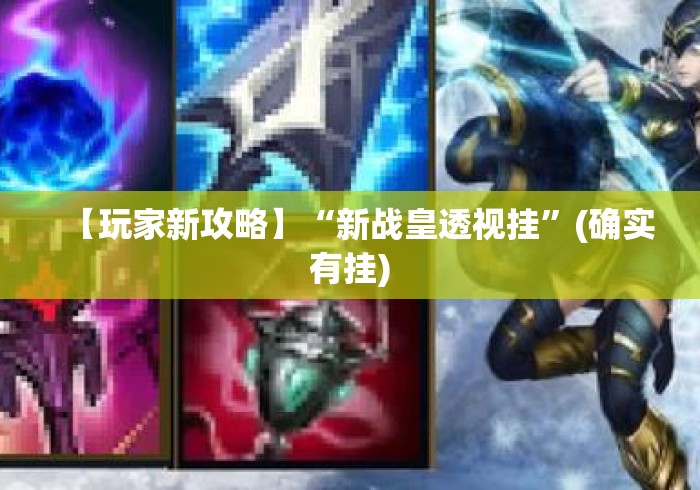 【玩家新攻略】“新战皇透视挂”(确实有挂)
