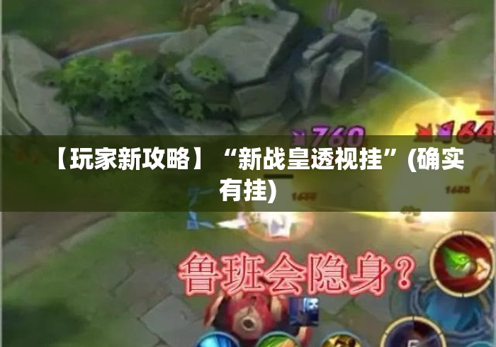 【玩家新攻略】“新战皇透视挂”(确实有挂)