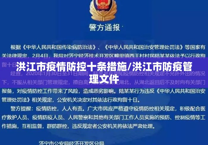 洪江市疫情防控十条措施/洪江市防疫管理文件 洪江市疫情防控十条措施/洪江市防疫管理文件