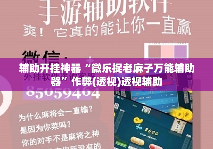 辅助开挂神器“微乐捉老麻子万能辅助器”作弊(透视)透视辅助